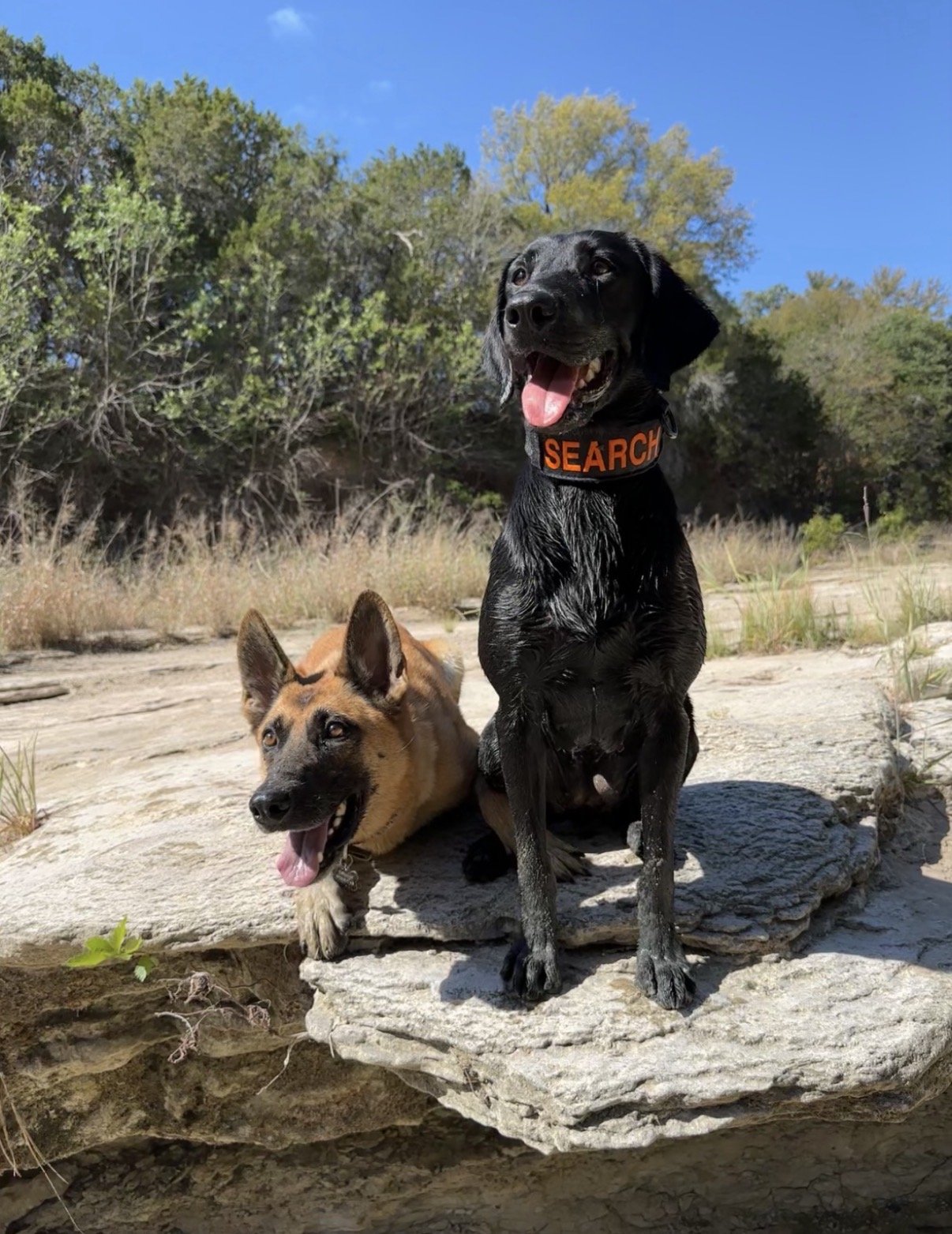 K-9 Team Image 10 Texas EquuSearch K-9 Team Image 10