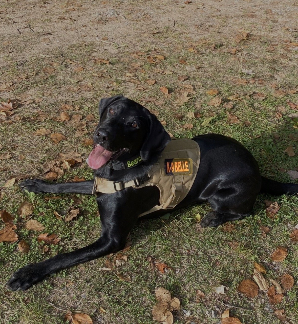 K-9 Team Image 9 Texas EquuSearch K-9 Team Image 9