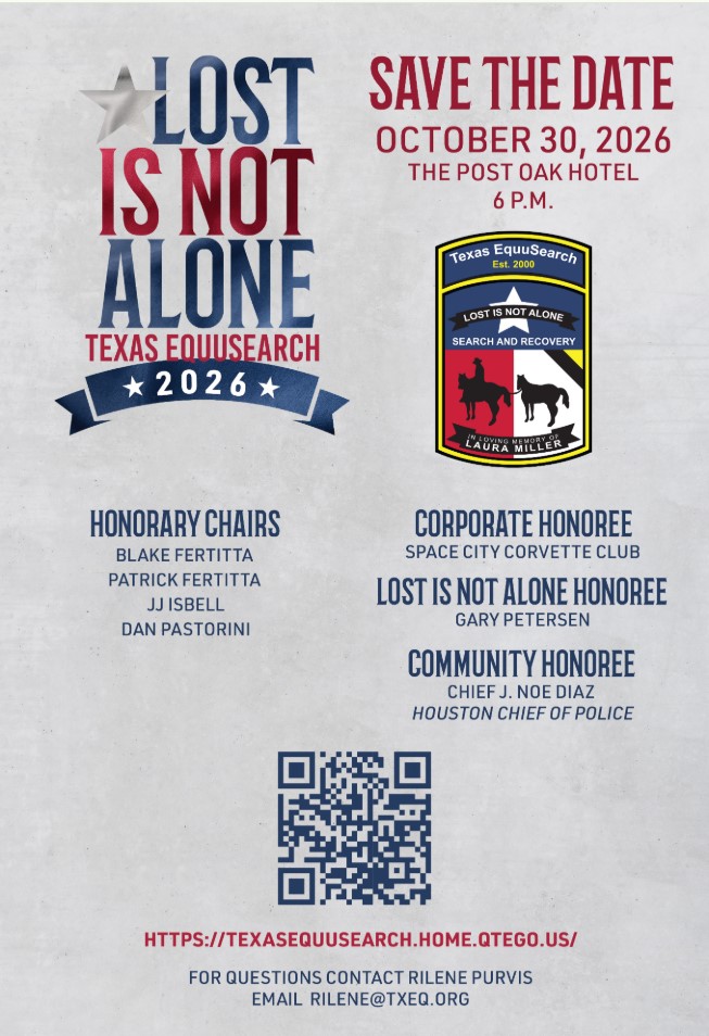 Lost Is Not Alone 2026